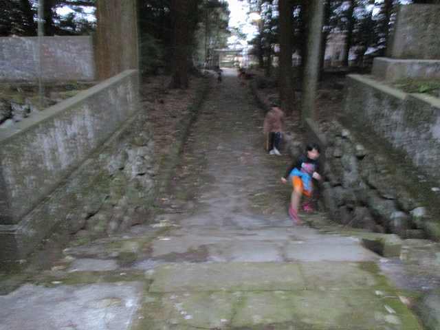 a0319565_22480771.jpg