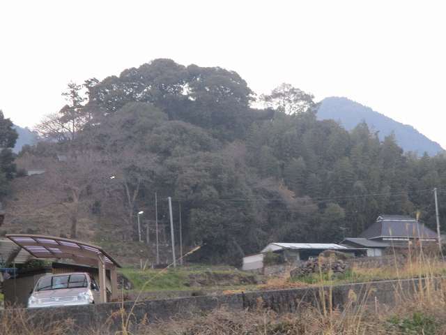 a0319565_22481652.jpg