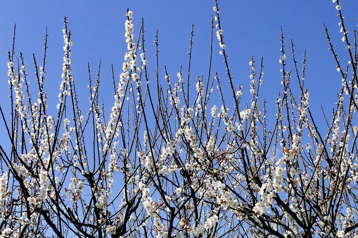 c0248473_20010172.jpg