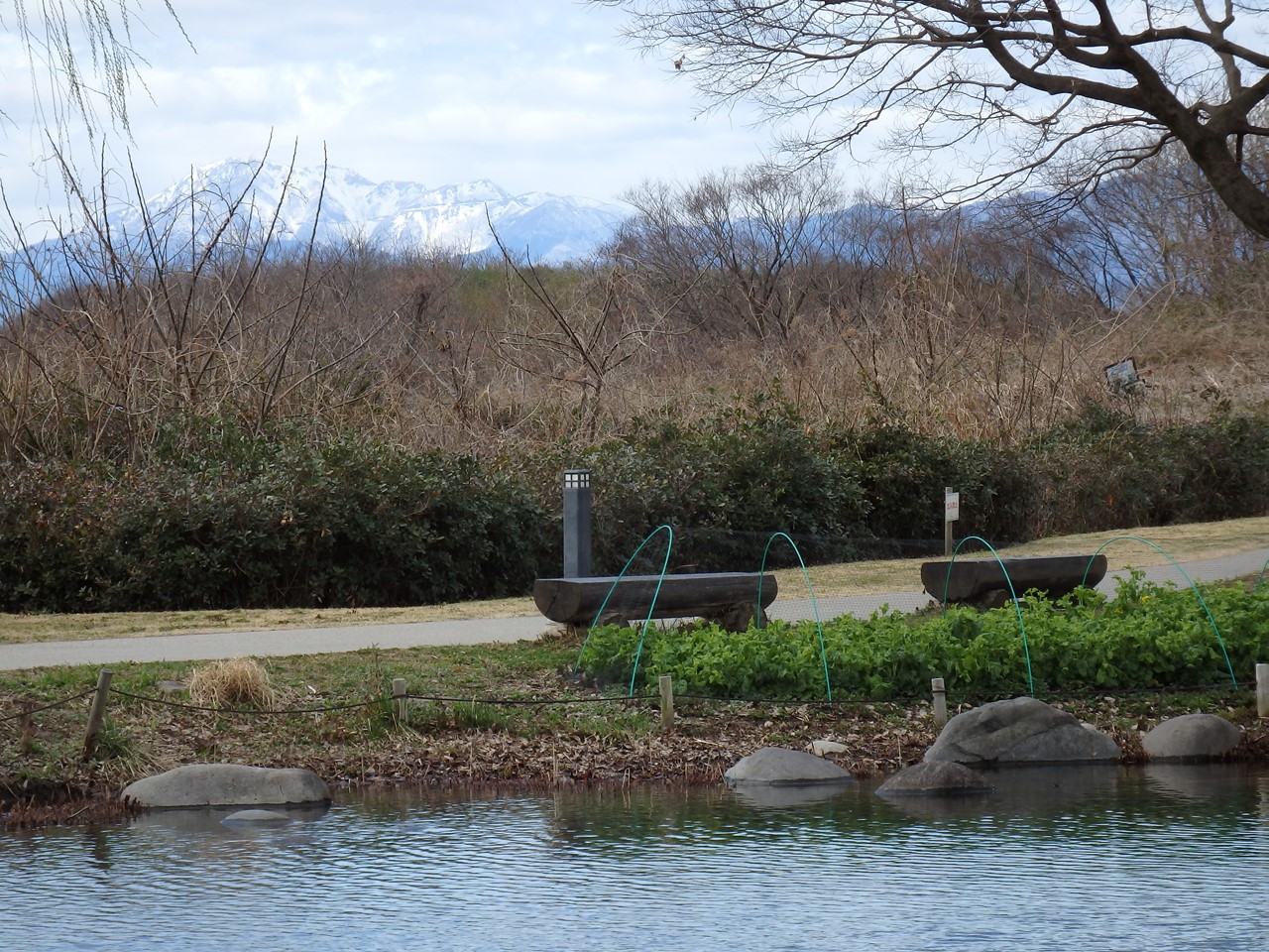 『笠松トンボ天国と木曽川水園の風景･････』_d0054276_20353944.jpg