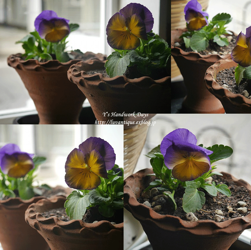 f0330978_10151481.gif
