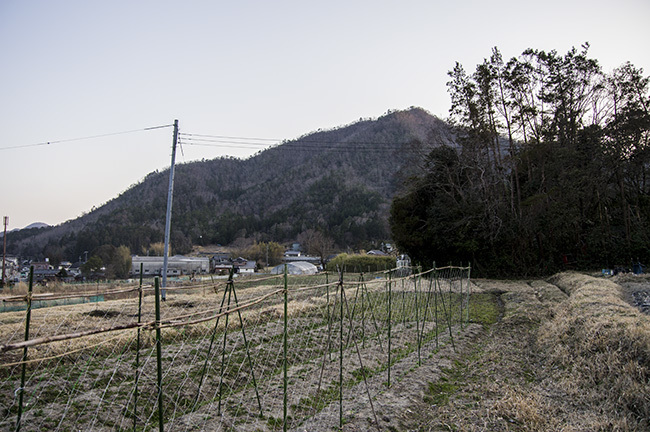 c0168780_23460405.jpg