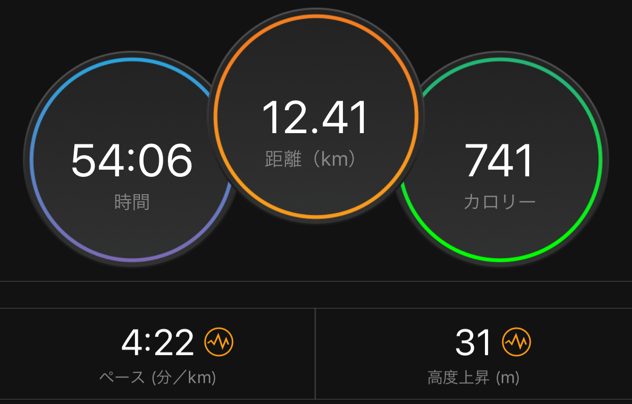静岡マラソンで奮わなかった原因発見!_f0310282_21455663.jpeg