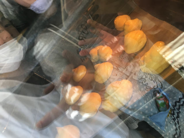 生野聴覚支援学校6年生の出張授業に行ってきました_a0277483_12075700.jpg