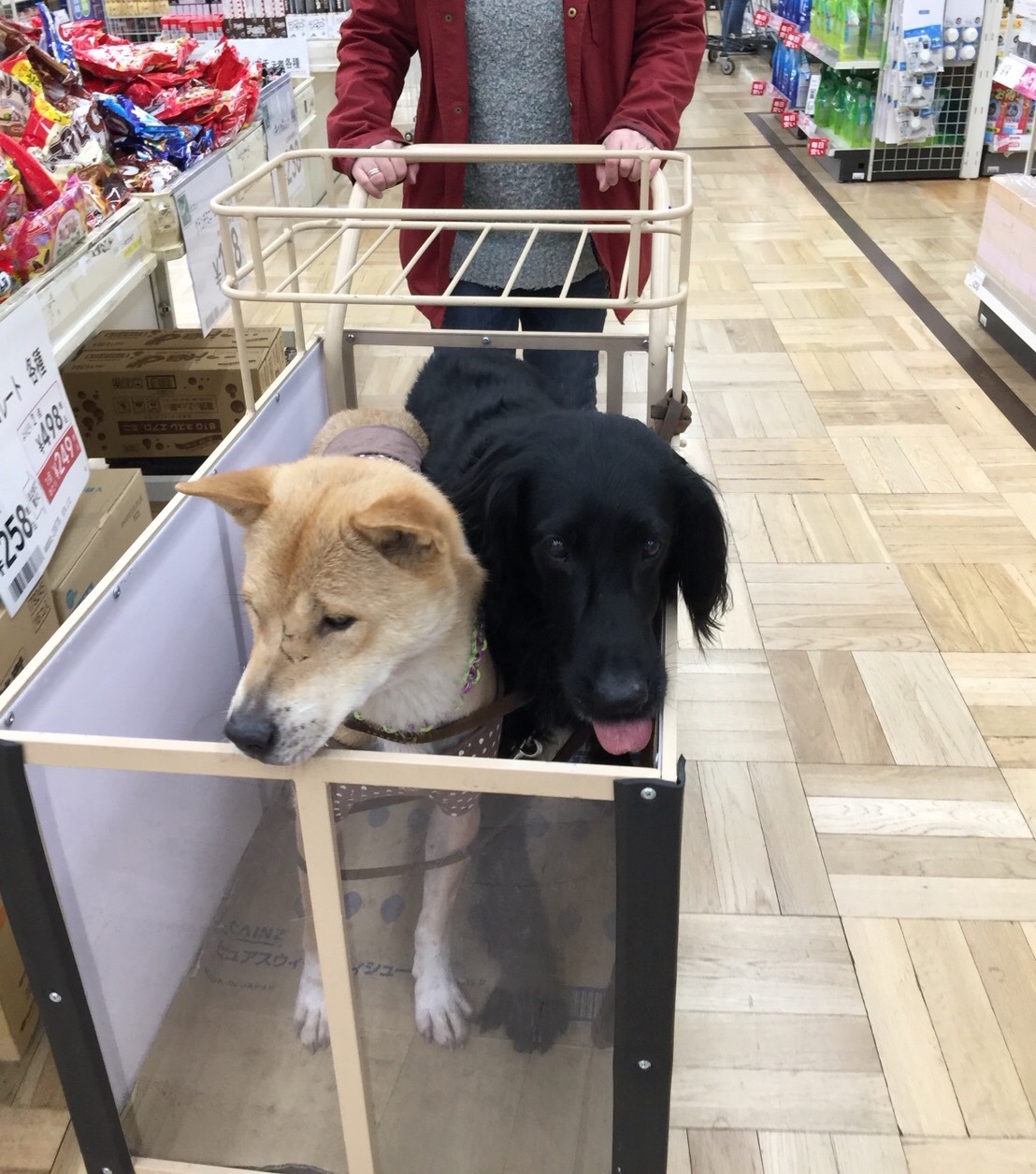 c0332184_18292929.jpeg