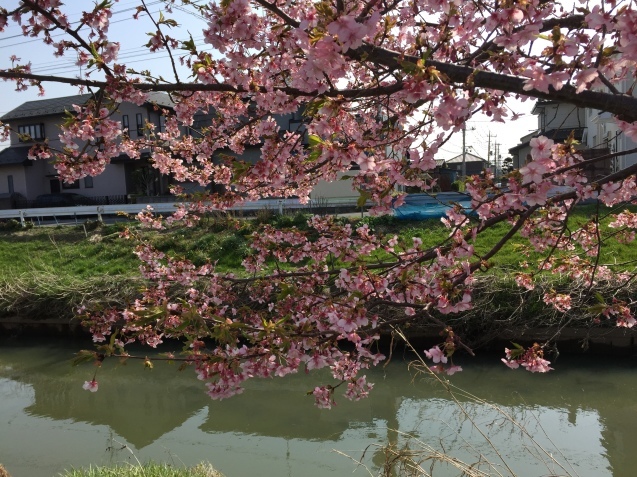 e0152990_16040611.jpeg