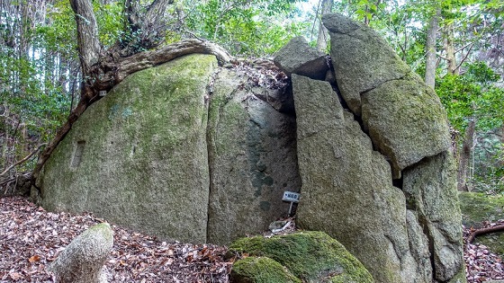 e0176993_07415751.jpg