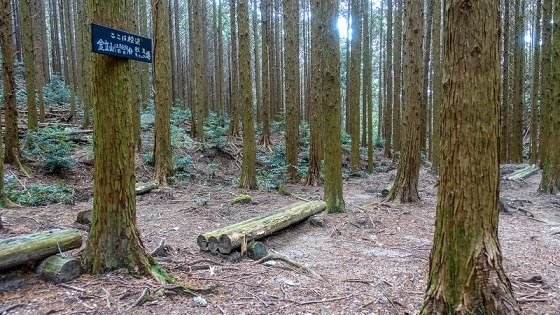 e0176993_07415846.jpg