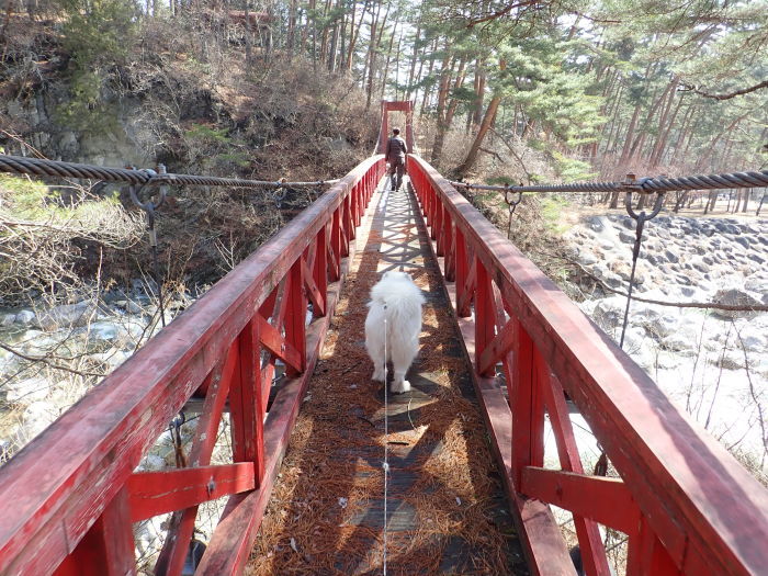 久しぶりの温泉旅_a0049296_18403947.jpg