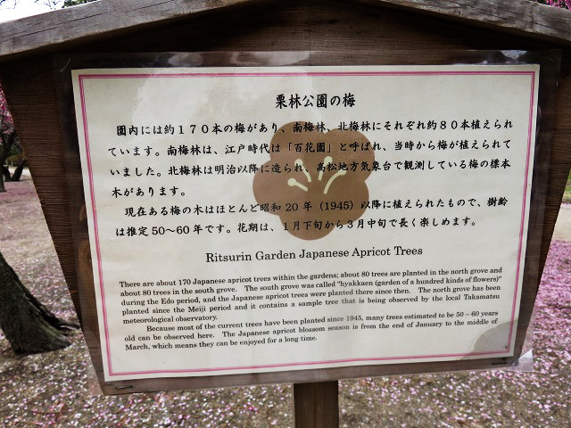 f0346196_15260654.jpg