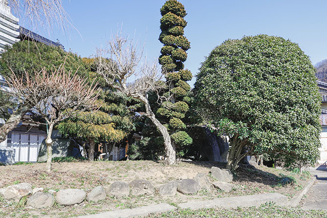 a0087804_10513443.jpg