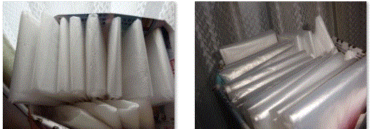 f0231709_22384688.gif