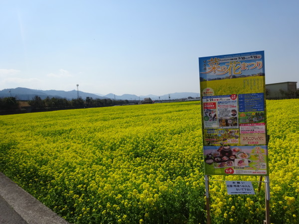 f0231709_22593958.jpg
