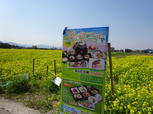 f0231709_23012078.jpg