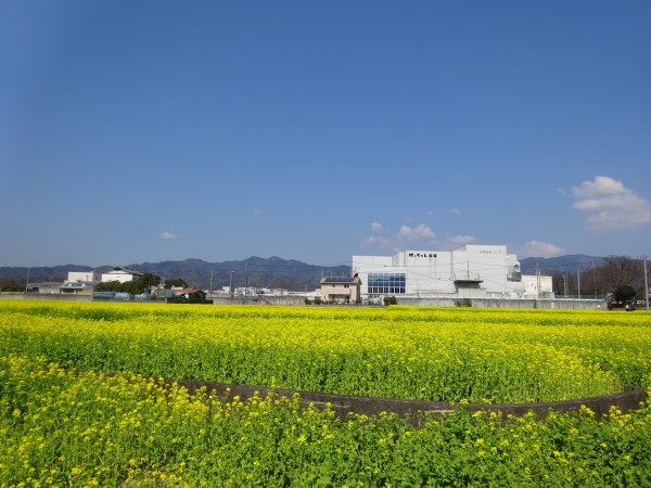 f0231709_23024924.jpg