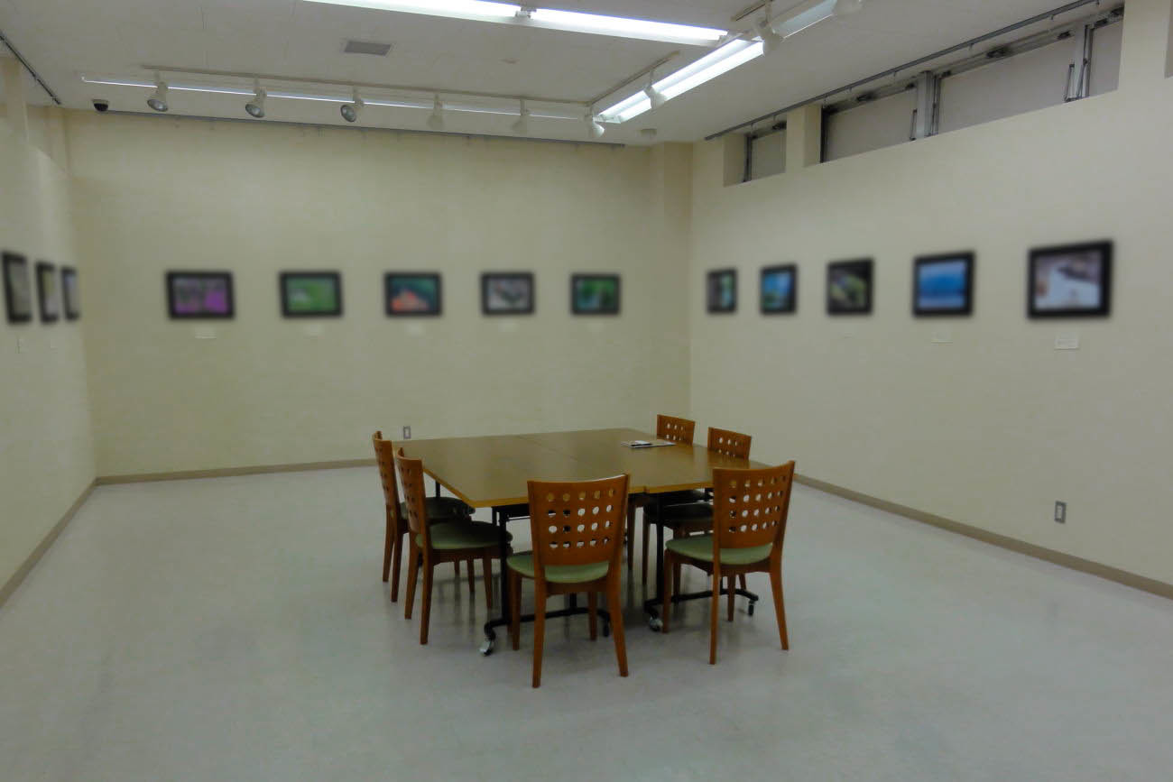 f0349409_17050538.jpg