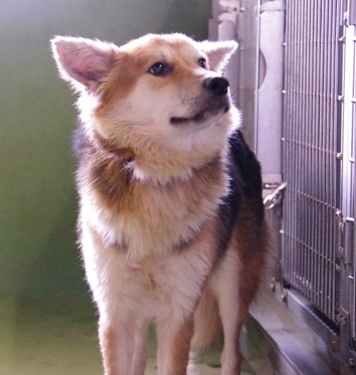 f0078320_03054810.jpg