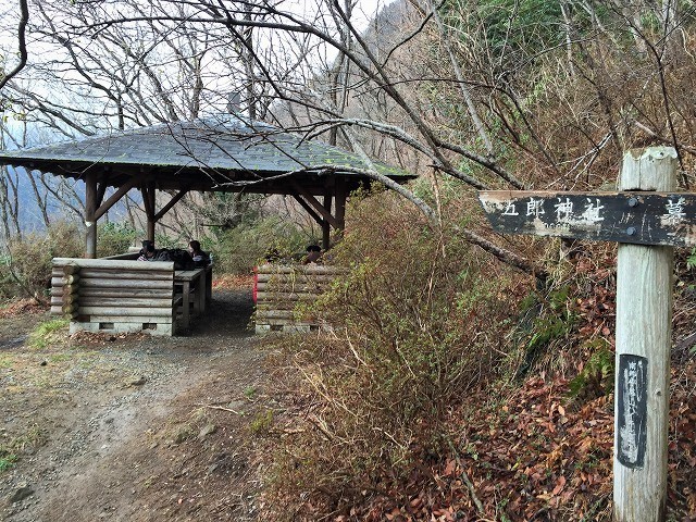 湯河原町　雨上がりの幕山ハイキング　　　　　Mount Maku in　Yugawara, Kanagawa_f0308721_10525545.jpg