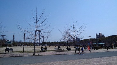 a0172222_17273570.jpg