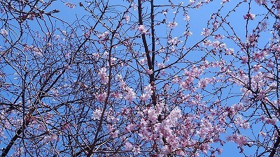 a0172222_17275419.jpg