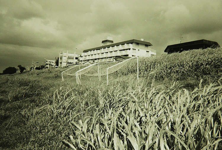 c0381632_20470827.jpg