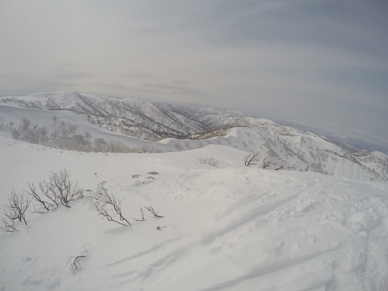 d0231339_21213675.jpg
