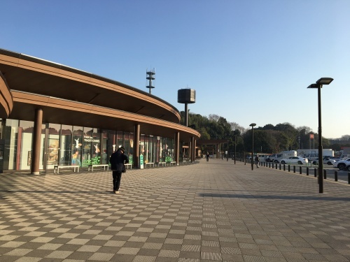 3月14日 筑波の旅 筑波山とカフェCOX_b0330040_21192999.jpeg