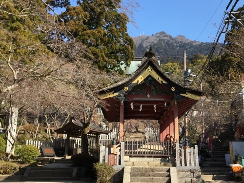 b0330040_21272734.jpeg