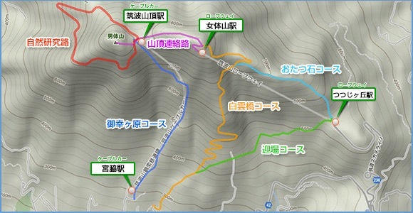 b0330040_21361158.jpeg