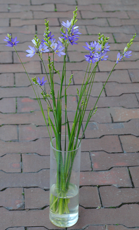 a0001354_22203933.gif