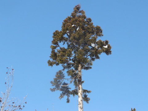 b0092858_20515334.jpg