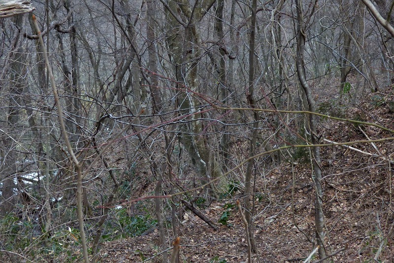 c0294658_20395103.jpg