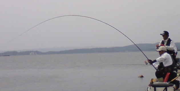 e0108765_20214836.jpg