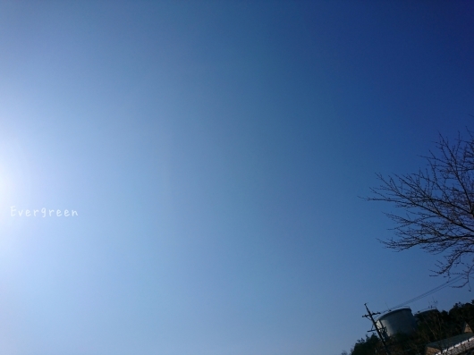 d0362666_20284844.jpg