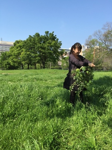 b0176275_13211356.jpeg