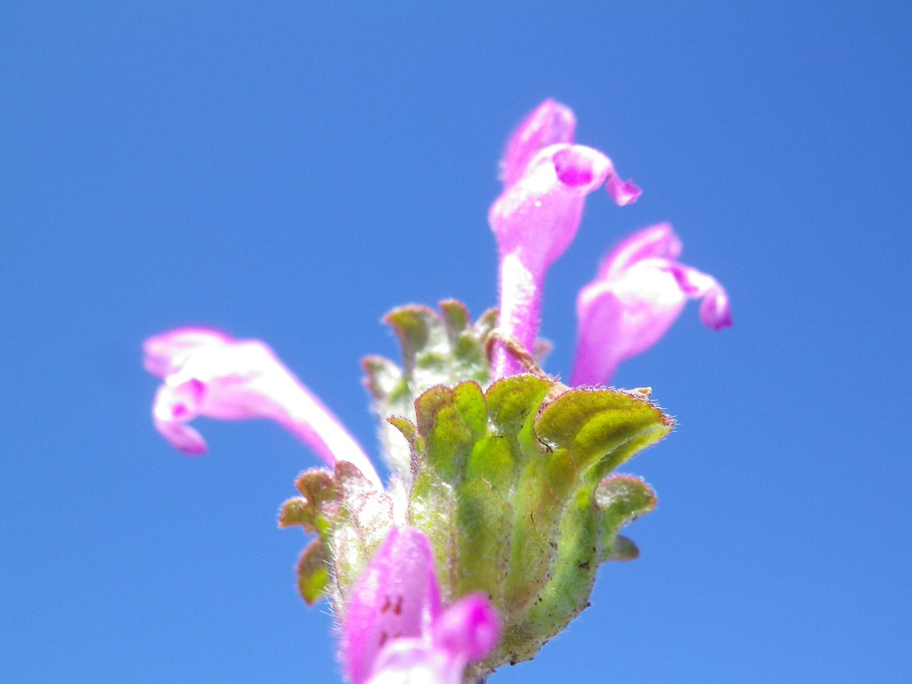 d0054276_2028443.jpg