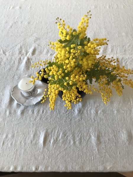 d0125776_10034077.jpeg