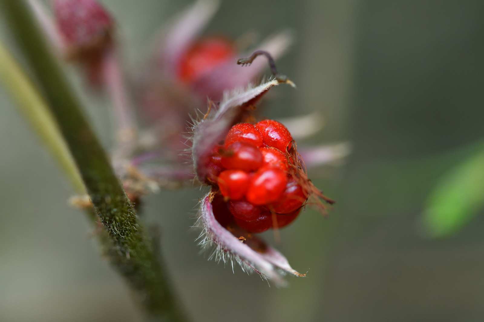 d0328977_12265568.jpg