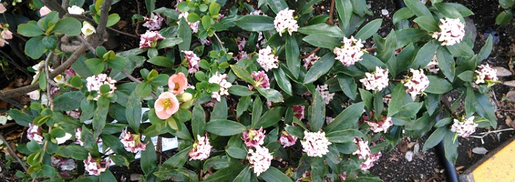 f0007580_23425773.jpg