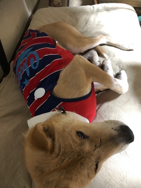 c0332184_20413480.jpeg