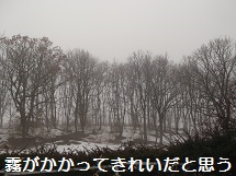 d0017084_8302828.jpg