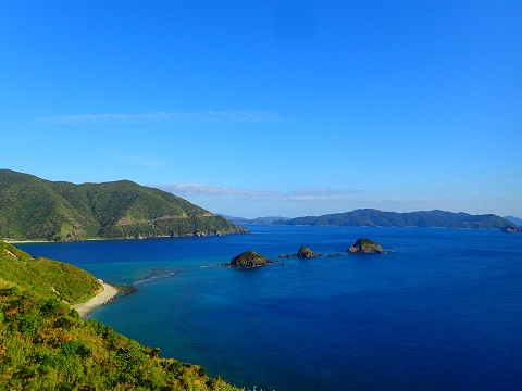 d0170586_19412114.jpg