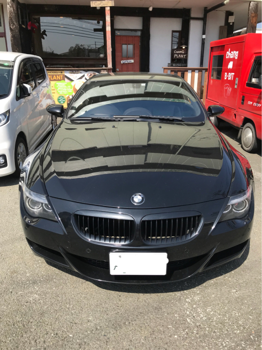 春決定でしょうか…?(*≧∀≦*)_d0132688_10192463.jpg