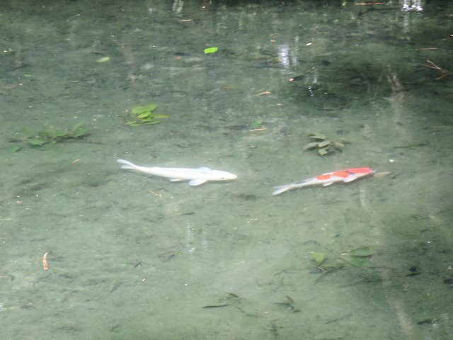 f0346196_13381705.jpg