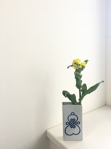 d0343297_20352048.jpeg