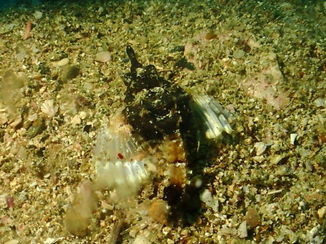 e0115199_15330894.jpg
