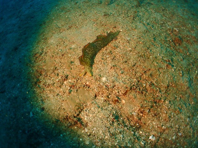 e0115199_15344433.jpg