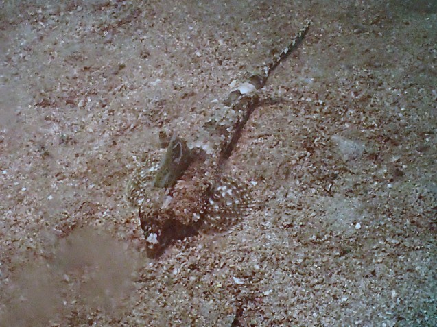 e0115199_15392748.jpg