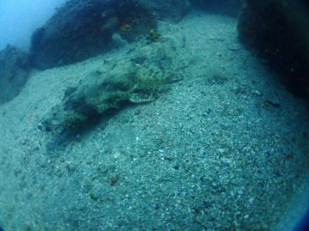 e0115199_15403966.jpg
