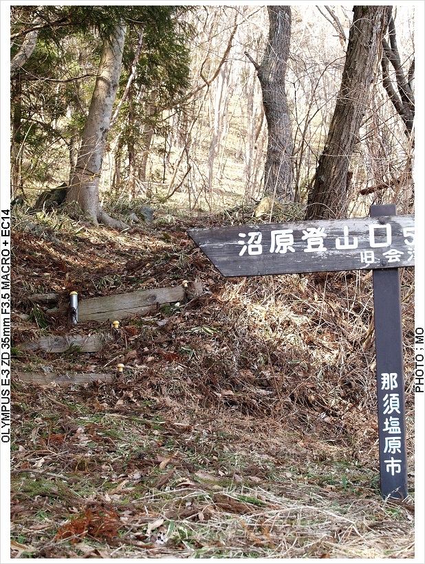 c0185705_16473855.jpg
